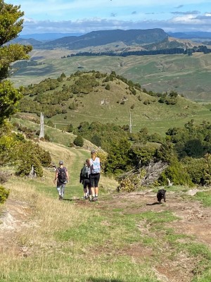 Haurata High Country Walks