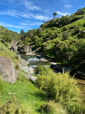 Haurata High Country Walks