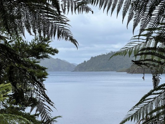 Rain on the lake and hills, Catherine McDonald