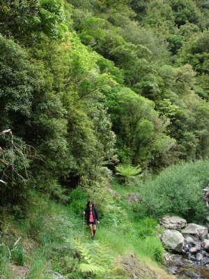 Track around river edge, photo by Gillian Ward