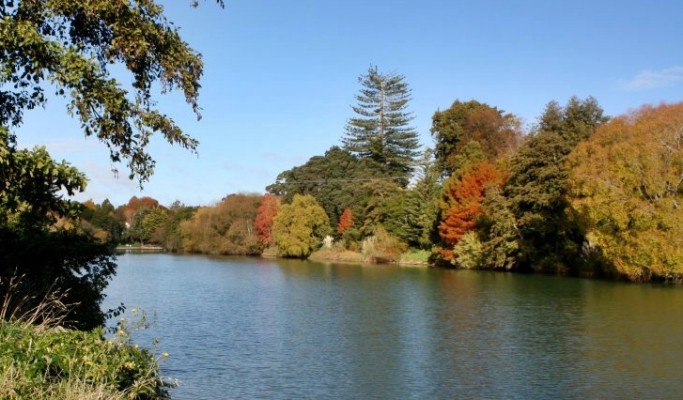 Autumn Colours, photo: Waimata Cheese Company Ltd