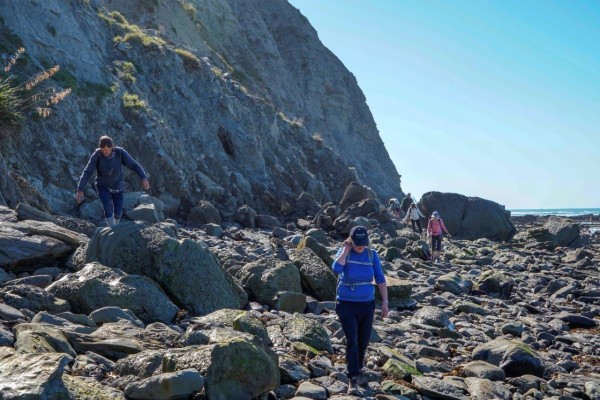 Tatapouri rocky coastline, photo by Kay Bayley