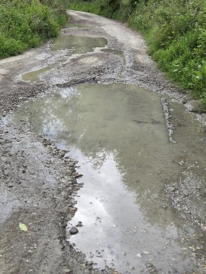 Shelley Road is in poor condition. Photo by Margaret Badger, October 2025
