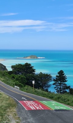 View to Tuamotu / Sponge Bay Island, Gay Young
