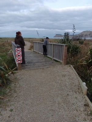 Footbridge over stream near Ūawa River mouth. Photo: Bessie Macey