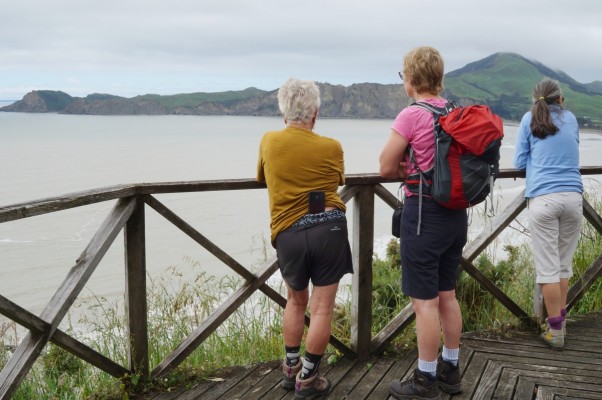 Tatarahake Cliff Lookout. Photo: Gillian Ward