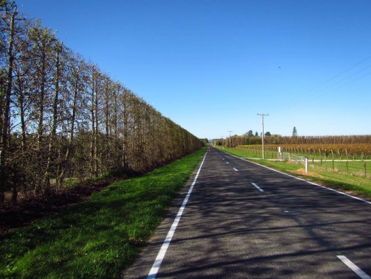 Waingake Road, phjoto Margaret Badger