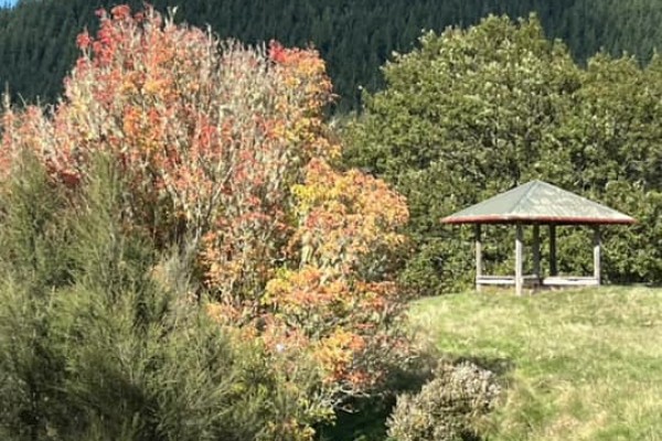 Eastwoodhill Arboretum