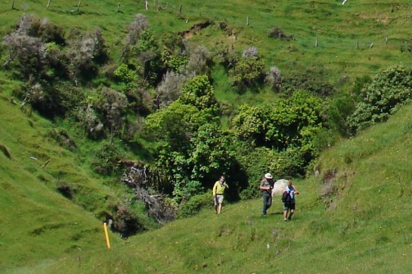 Mangaone Caves, Nuhaka