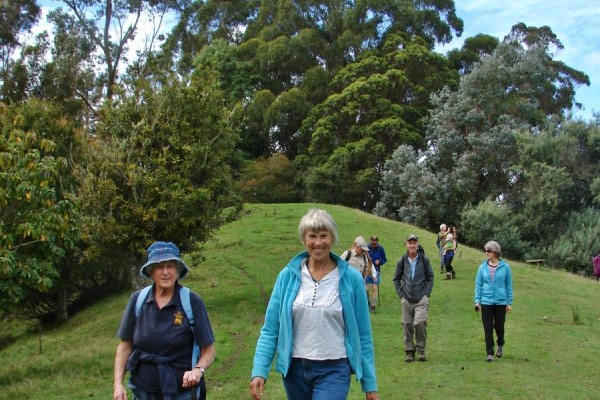 Hackfalls Arboretum, Tiniroto