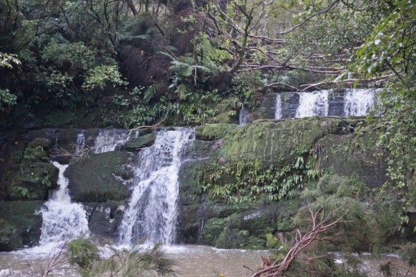Waihirere Waterfall Track