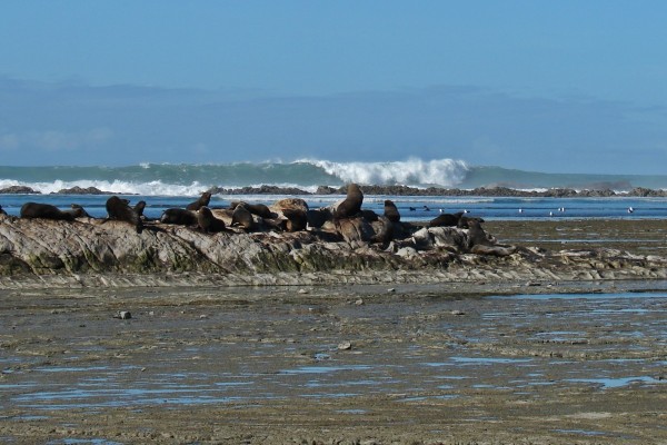 Table Cape (Kahutara Point), Māhia