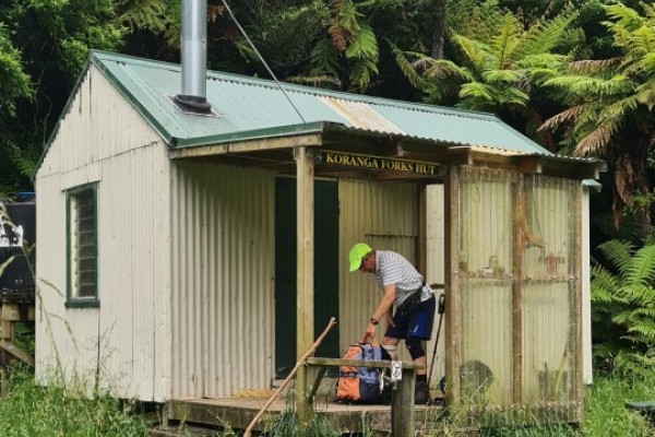 Koranga Forks Hut