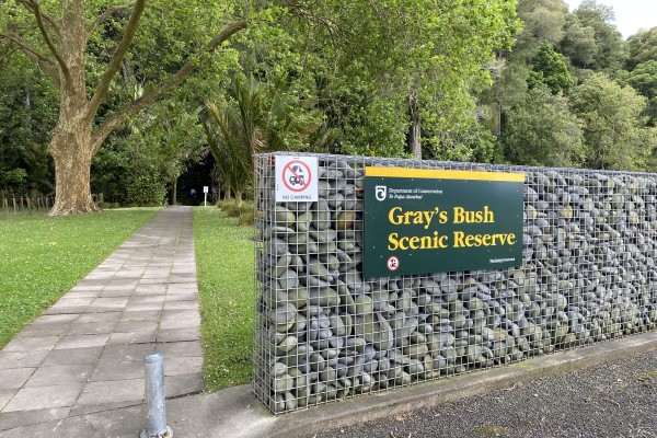 Gray's Bush Scenic Reserve