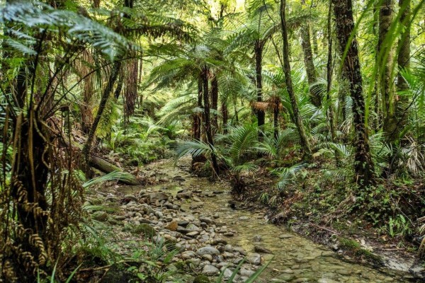 Māhia Peninsula Scenic Reserve
