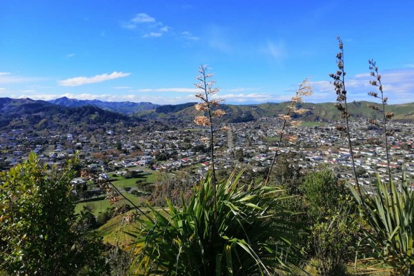 Titirangi Bush Walks
